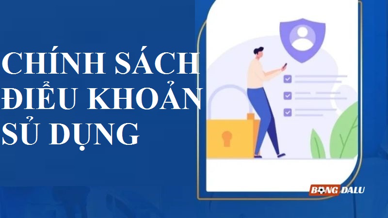 Chính sách điều khoản sử dụng