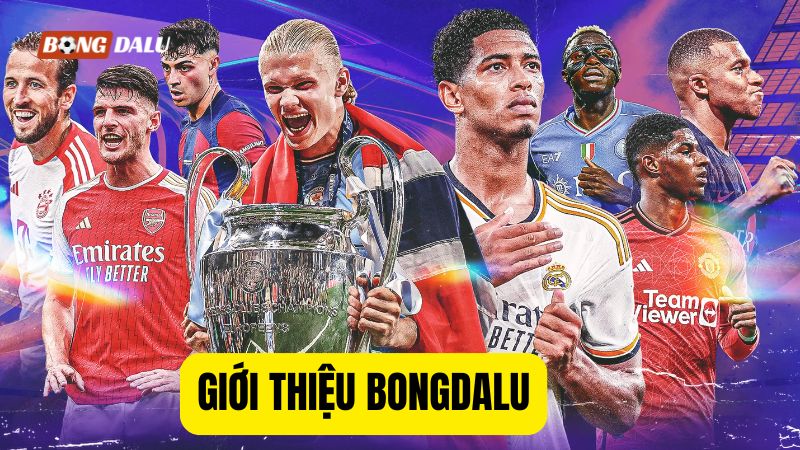 Giới thiệu Bongdalu Giới thiệu Bongdalu