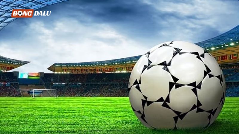 Trang kênh mang đến hệ sinh thái dữ liệu bóng đá toàn diện Trang kênh mang đến hệ sinh thái dữ liệu bóng đá toàn diện
